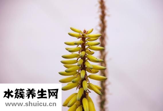 她的下面非常粉嫩