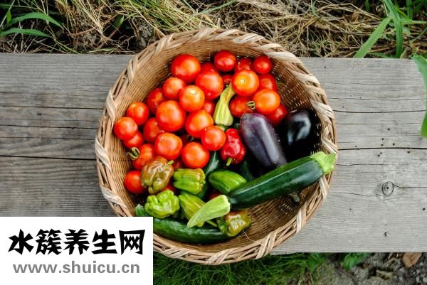 大腦解剖圖