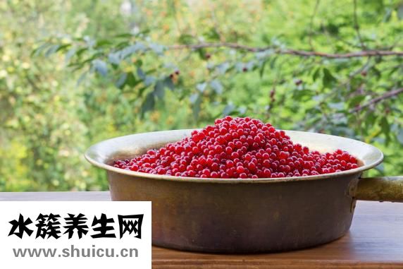 烏冬面熱量