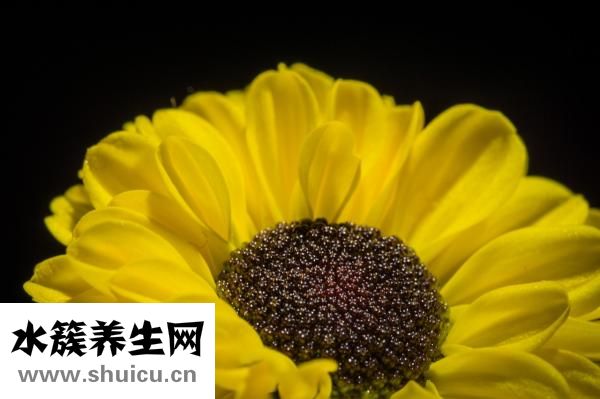 手術后吃什么好