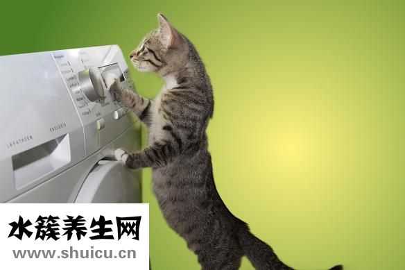 抗宮炎軟膠囊