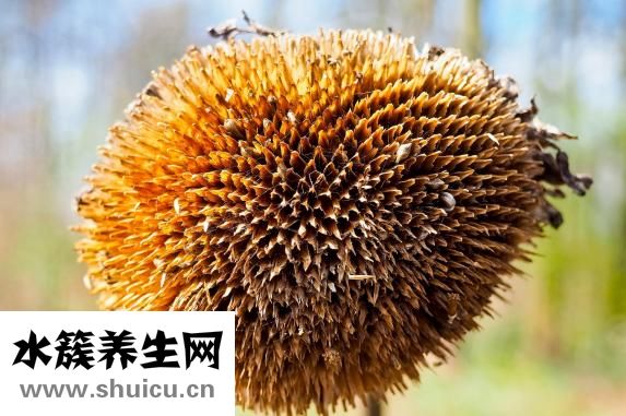 怎么練肺活量