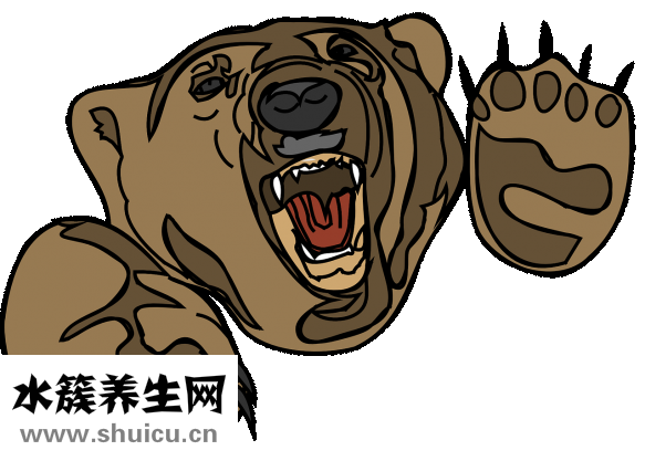 健康牙齒圖片