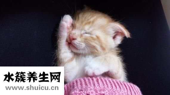 為什么做噩夢