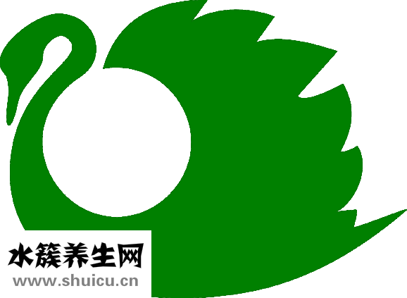 元旦節吃什么
