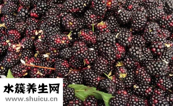 孕婦可以吃桃膠嗎