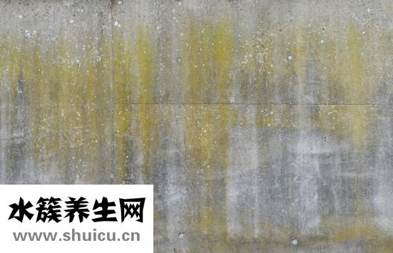 排骨苦瓜湯