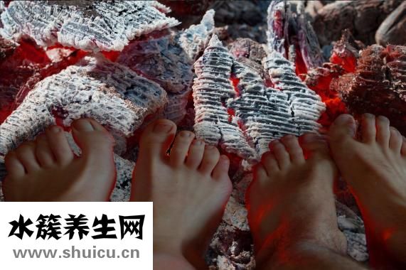 小白菜熱量