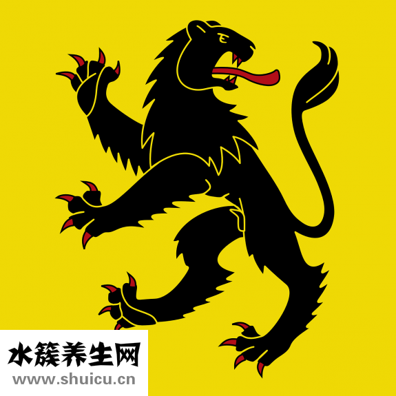元旦節吃什么
