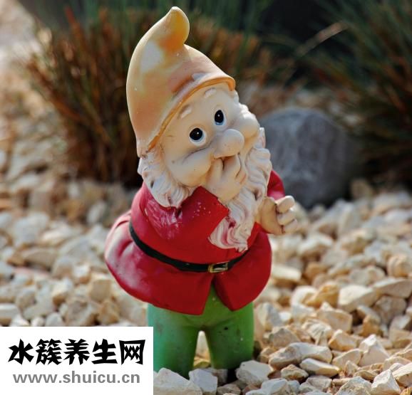 我的發小兒