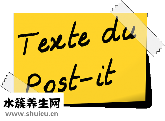 頭顱核磁共振