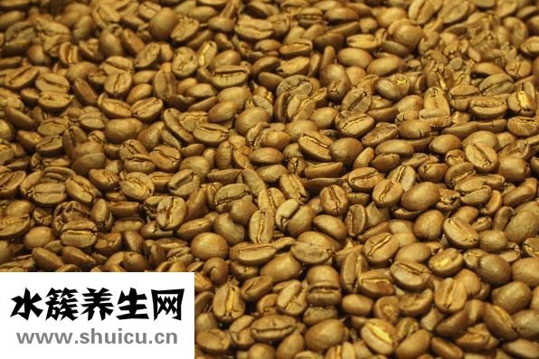 五子毛桃煲雞