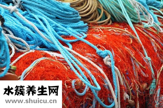 怎樣食用人參