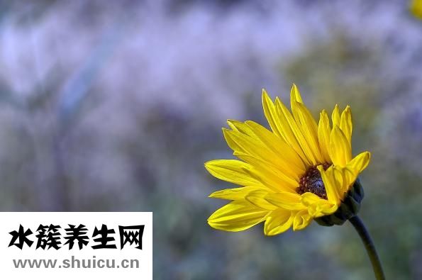 吸脂減肥手術