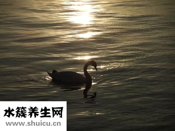 嘴巴張不大