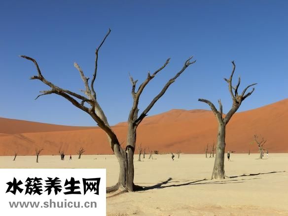 克隆的壞處