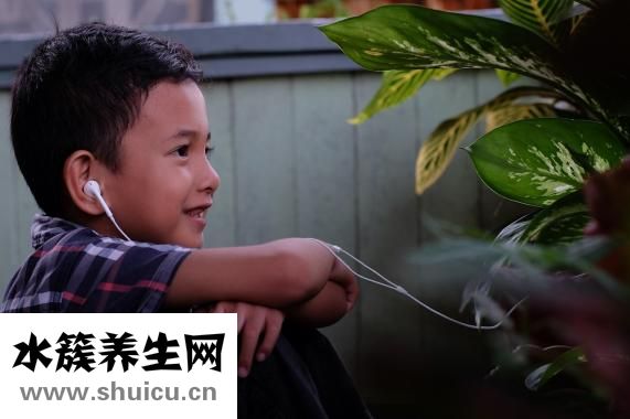 手機對人的危害