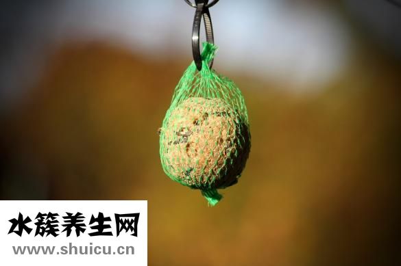臥蠶是什么