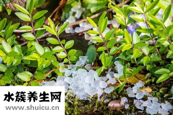 小兒量肛溫
