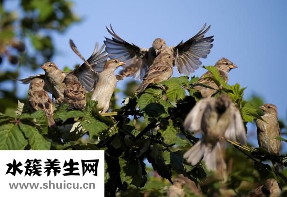 手腳容易出汗