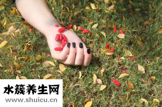 外痔瘡的治療