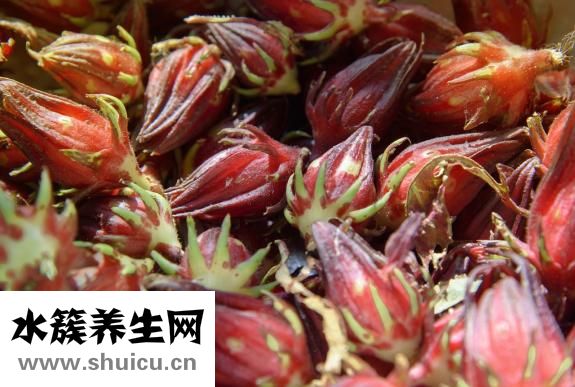 新鮮的水果