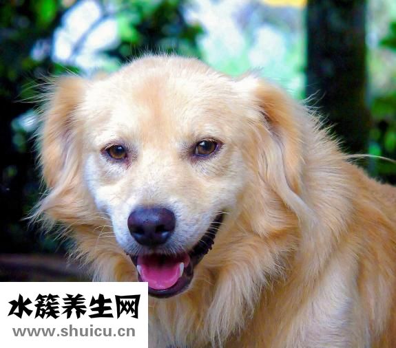 怎么去口臭