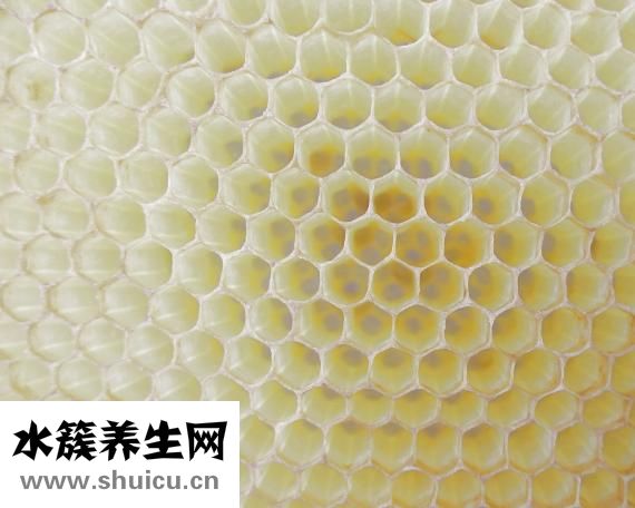 失眠中醫治療