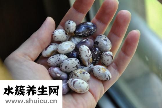 唐氏戒煙湯