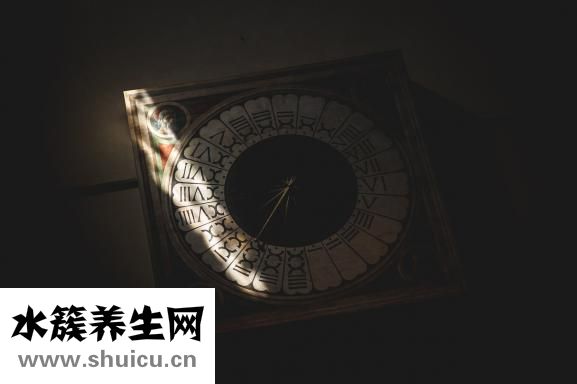 排卵期有多久