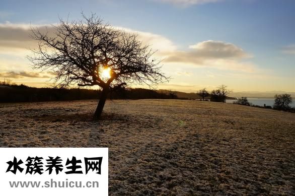 在線測視力