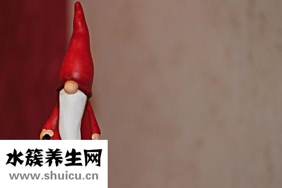 什么壯陽藥好