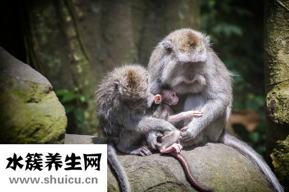 性染色體異常