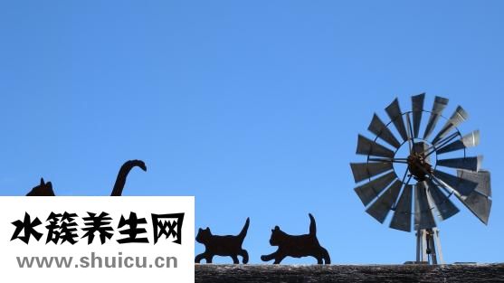 嬰幼兒換奶粉