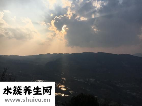 云南中草藥
