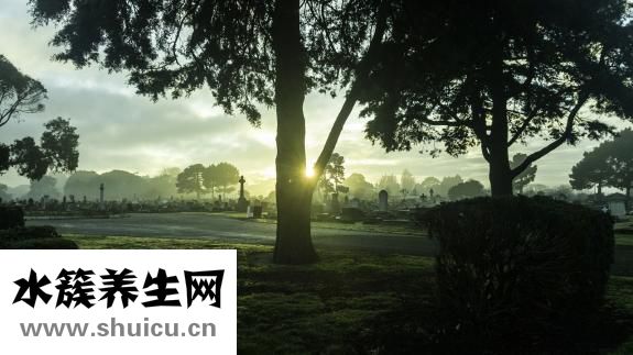 為什么會得腎結石