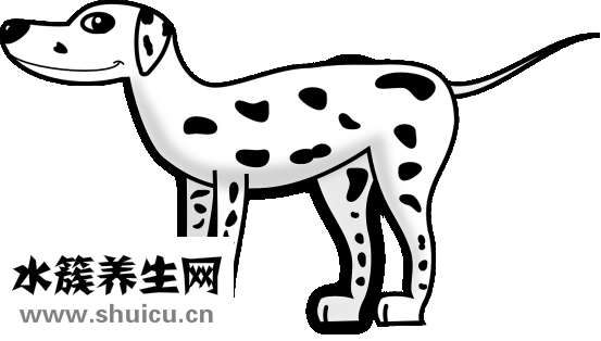 心跳一分鐘