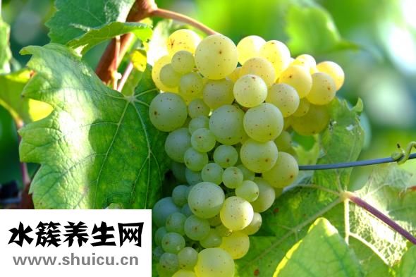 怎么測血糖