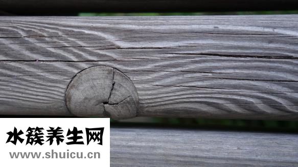 什么是貢菜