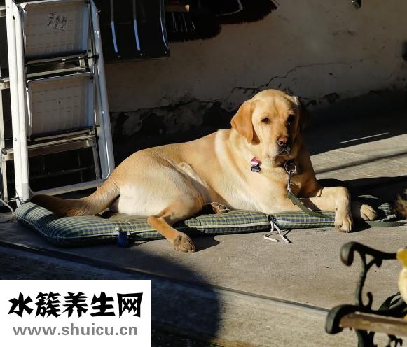 怎么做剃須泡