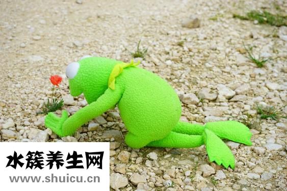 一餓就心慌