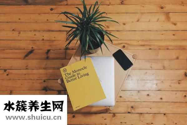 一天洗一次頭發好嗎