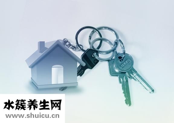外側半月板