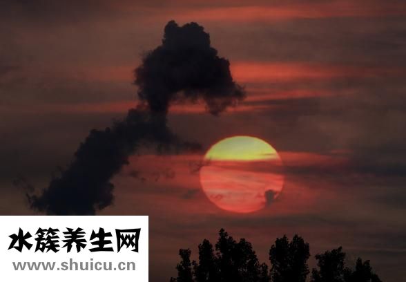 什么是笑氣