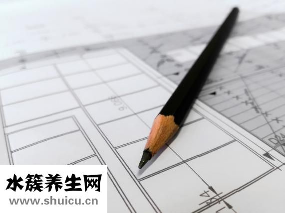 中藥全身美白