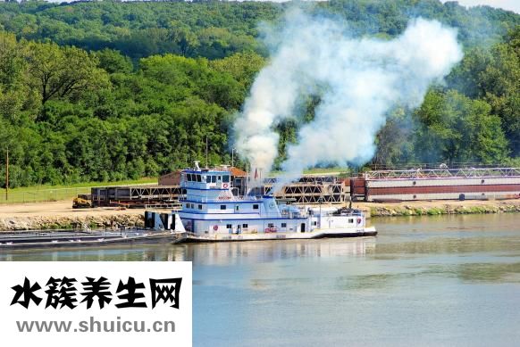 小兒雞內金散