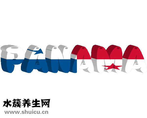 怎么算基礎代謝