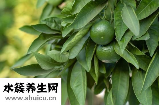 怎樣提高性欲
