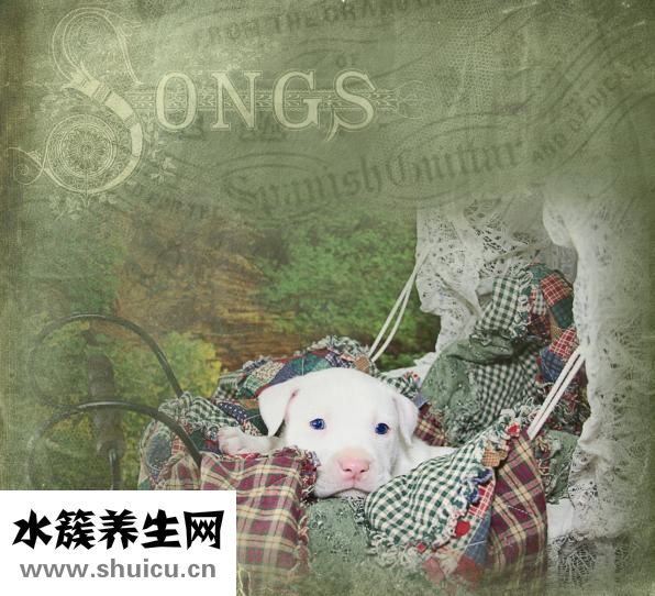 兒童體能訓練