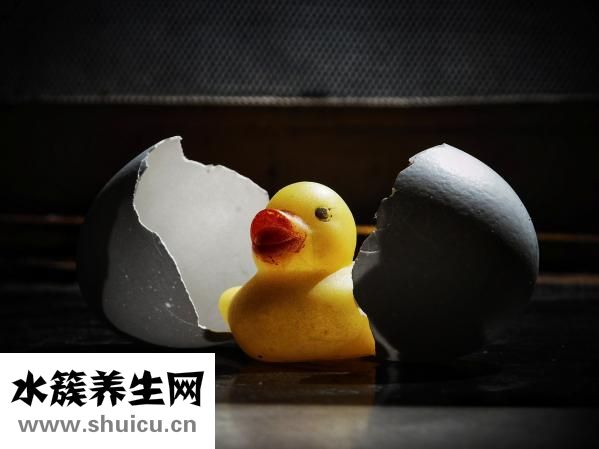 晚上吃雞蛋